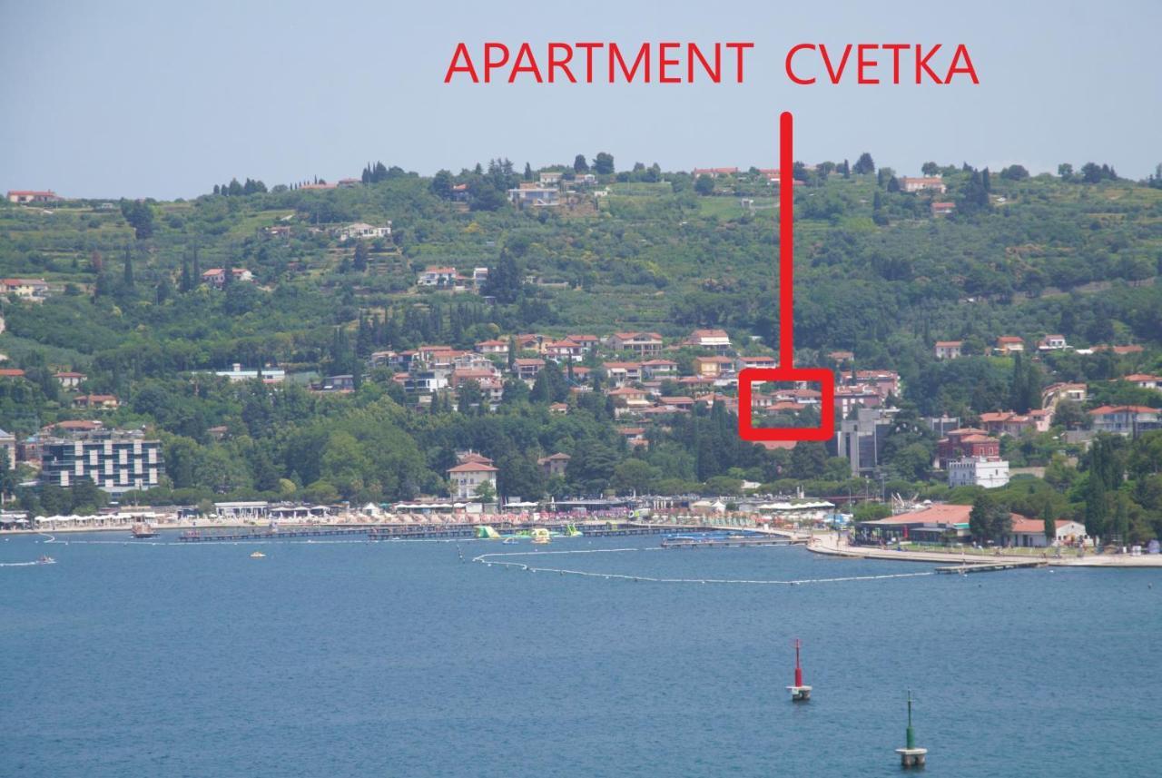 בפורטורוז Apartment Cvetka מראה חיצוני תמונה