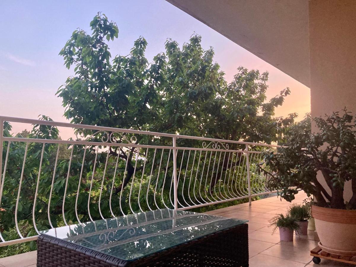 בפורטורוז Apartment Cvetka מראה חיצוני תמונה