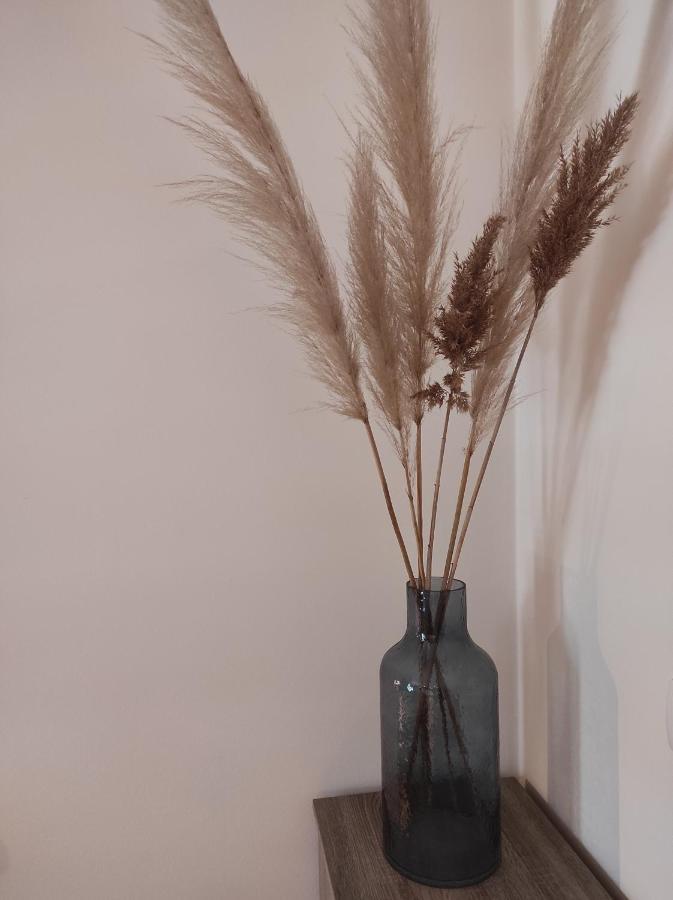 בפורטורוז Apartment Cvetka מראה חיצוני תמונה