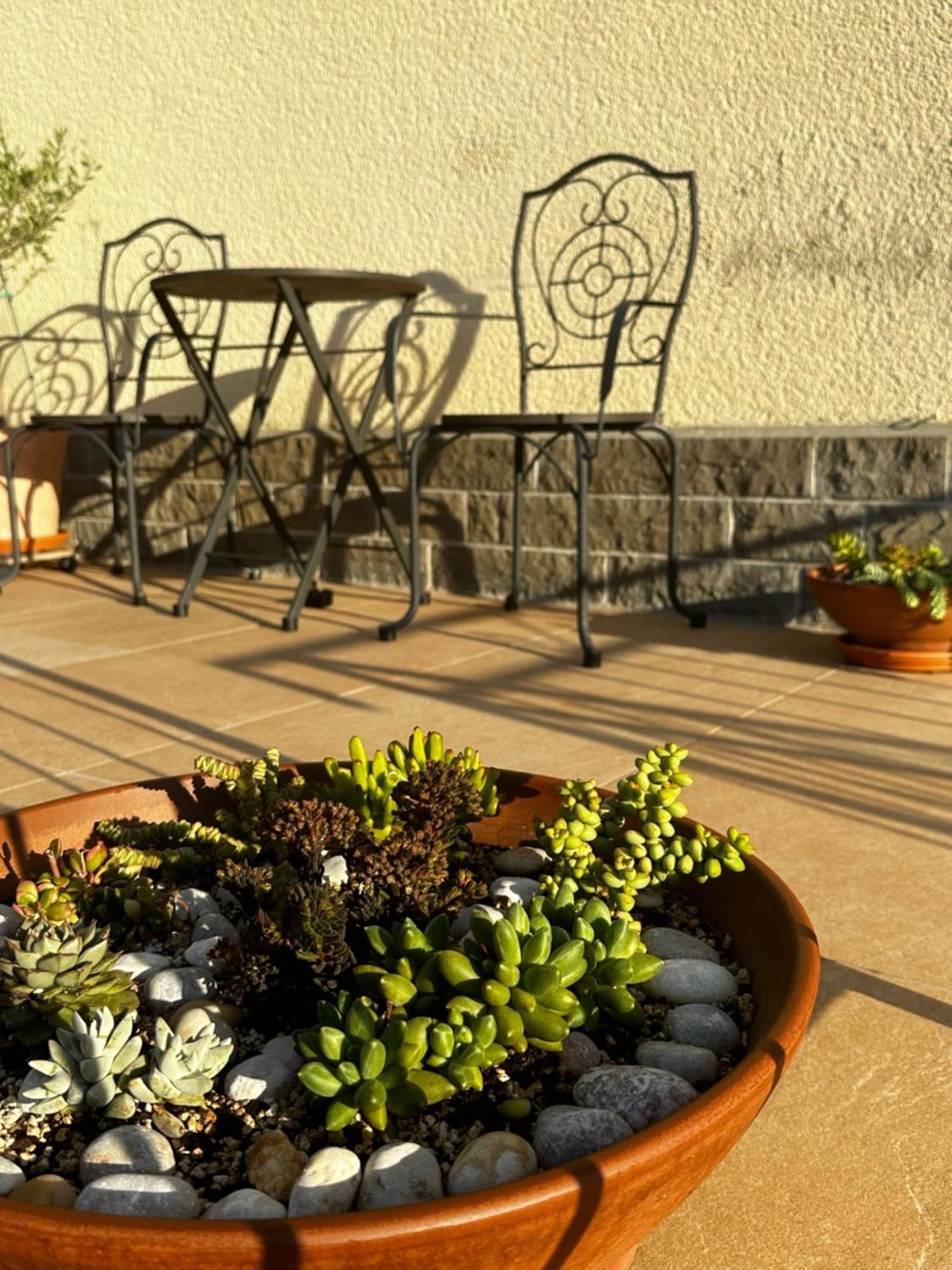 בפורטורוז Apartment Cvetka מראה חיצוני תמונה